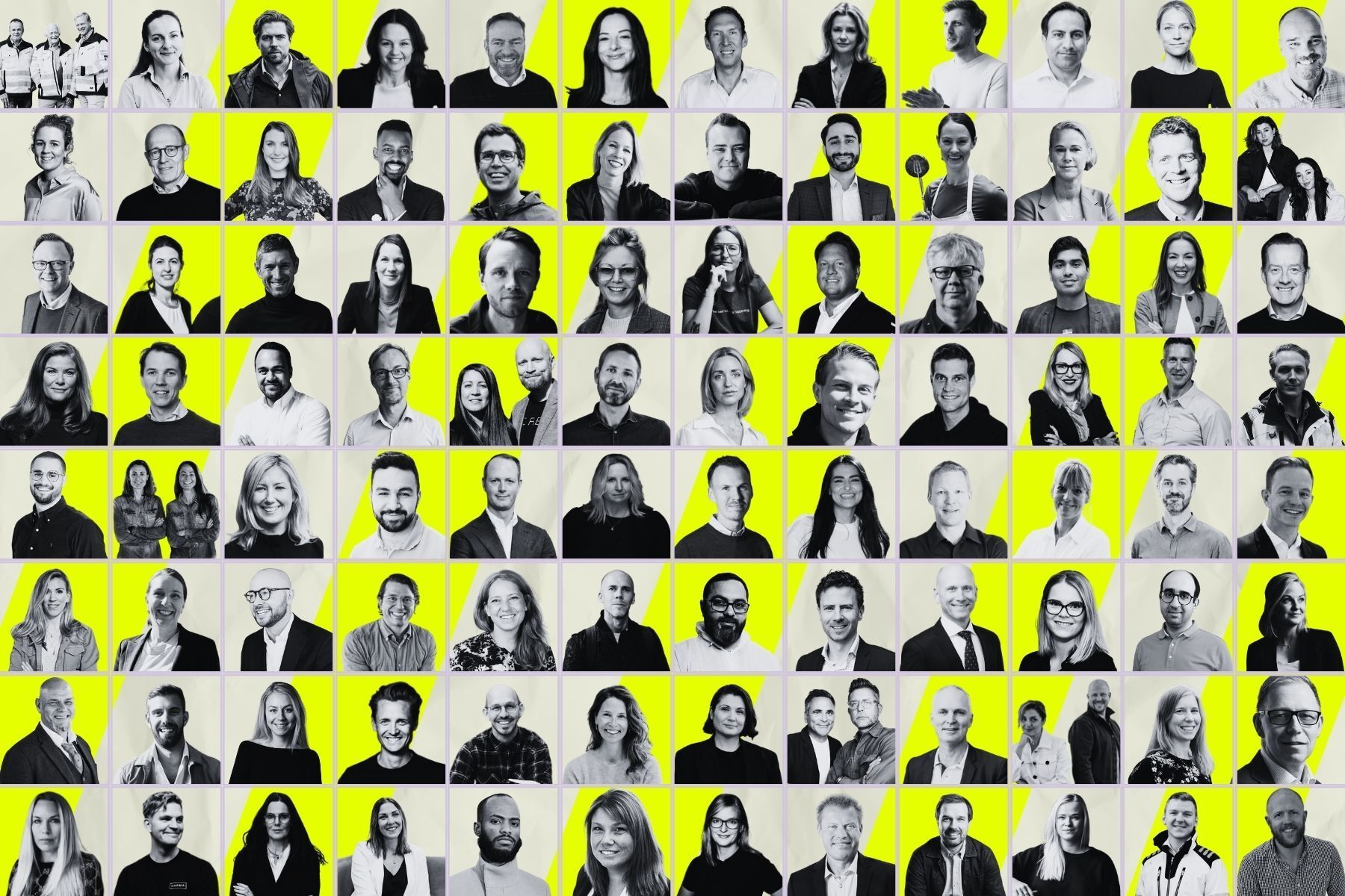 Ett axplock av entreprenörerna och vd:s på de bolag vi gått igenom. Grafik: Diana Demin, Impact Loop.