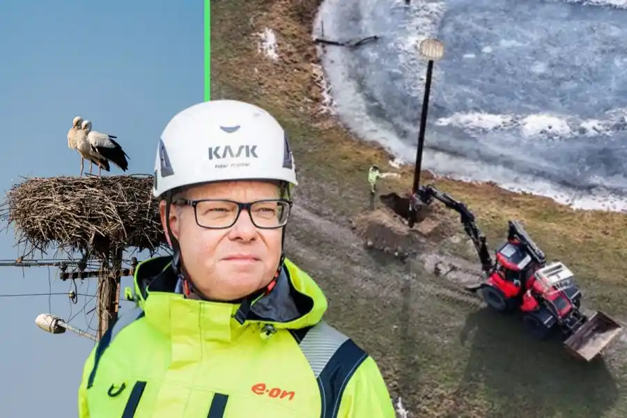 Efter återkommande strömavbrott i Vinslöv till följd av storkbon i elnätsstolpar har Eoni och Storkprojektet etablerat nya boplatser i en närliggande nyckelbiotop. De nya "sjötomterna" ger storkarna trygga häckningsmiljöer nära föda – samtidigt som risken för driftstörningar i elnätet minskar. Bilden till vänster är tagen vid ett annat tillfälle. Mannen på bilden är Peter Hjalmar på Eon. Foto: Pontus Ferneman
