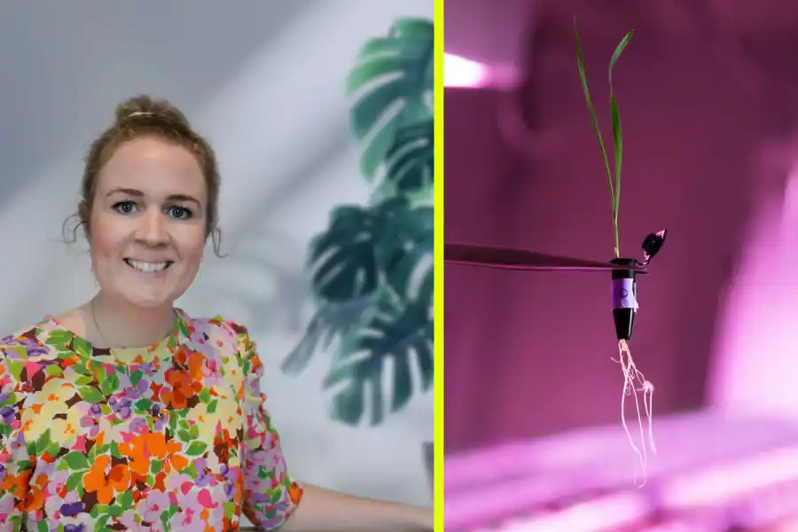 Elén Faxö, vd. Foto: OlsAro.