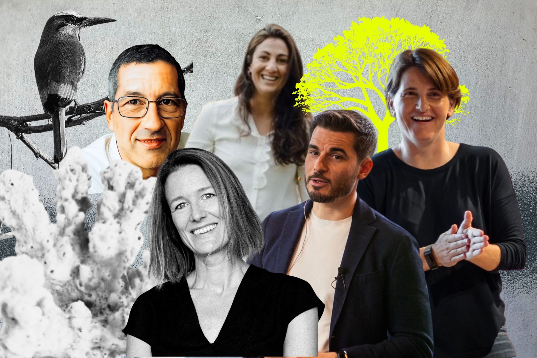 Some of the biodiversity investors in our deepdive. Names in the article. Graphics: Impact Loop.