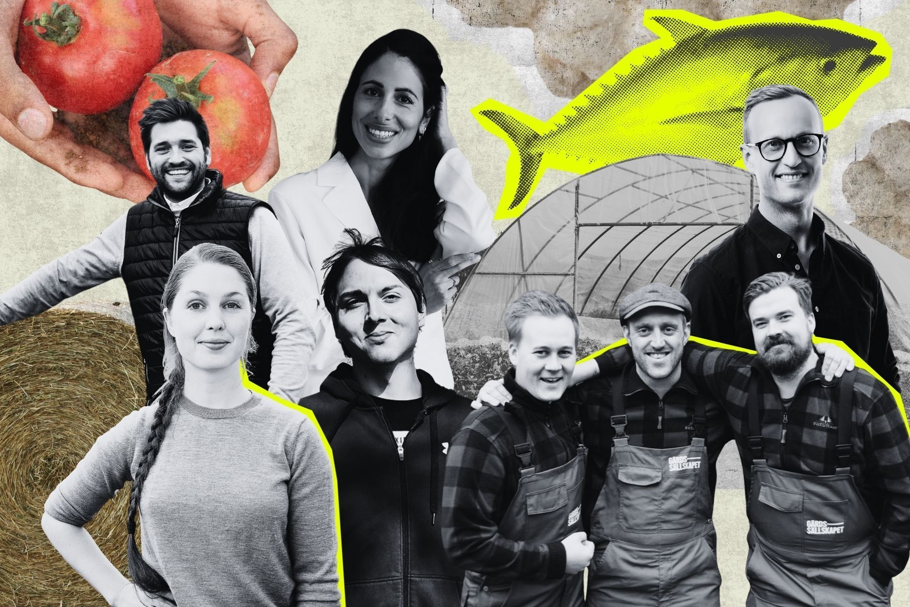 Några av entreprenörerna i vår genomgång. Foto: press och grafik av Impact Loop.