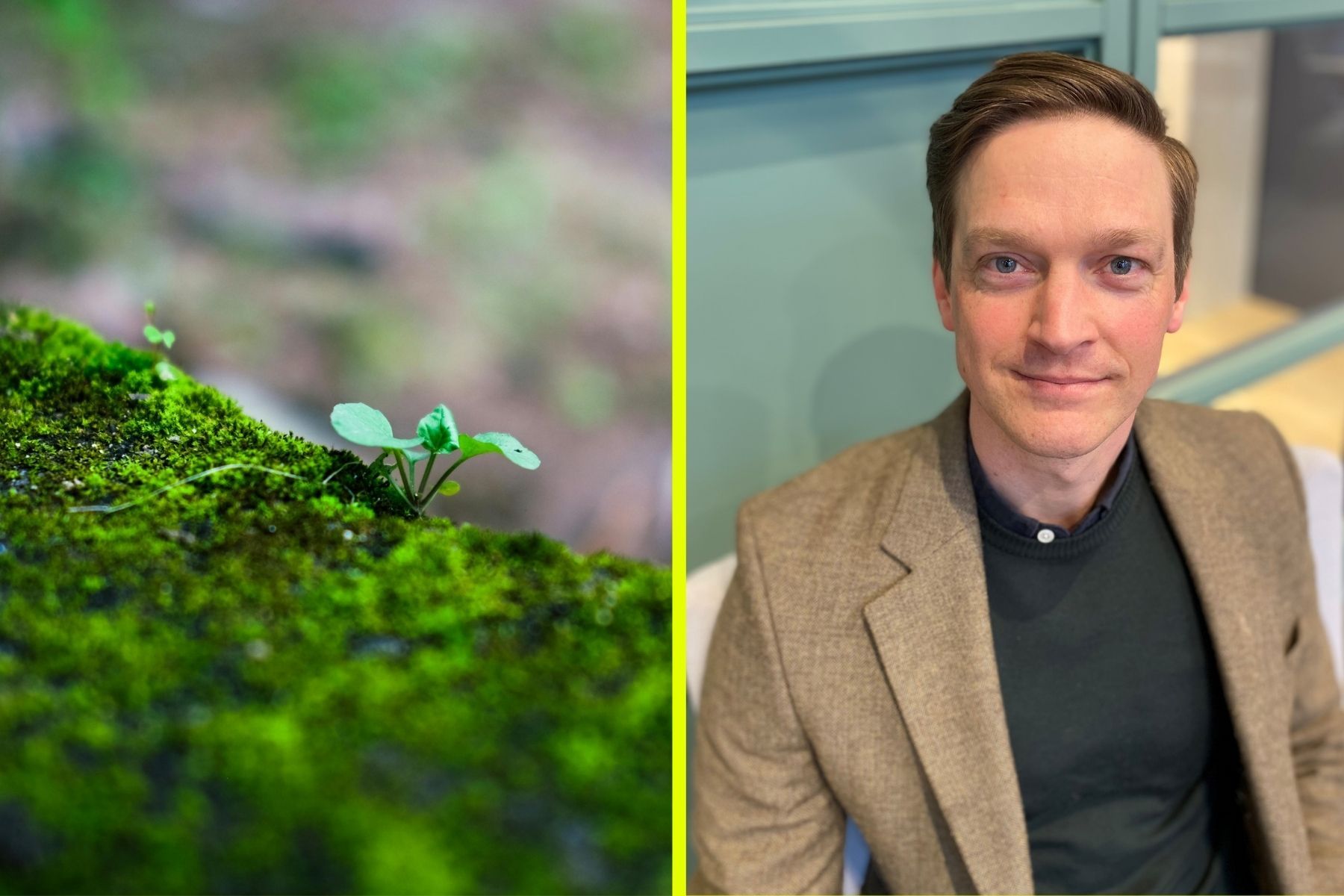 Jörgen Sundin, strateg inom biologisk mångfald på Naturskyddsföreningen. Foto: Canva / pressbild.