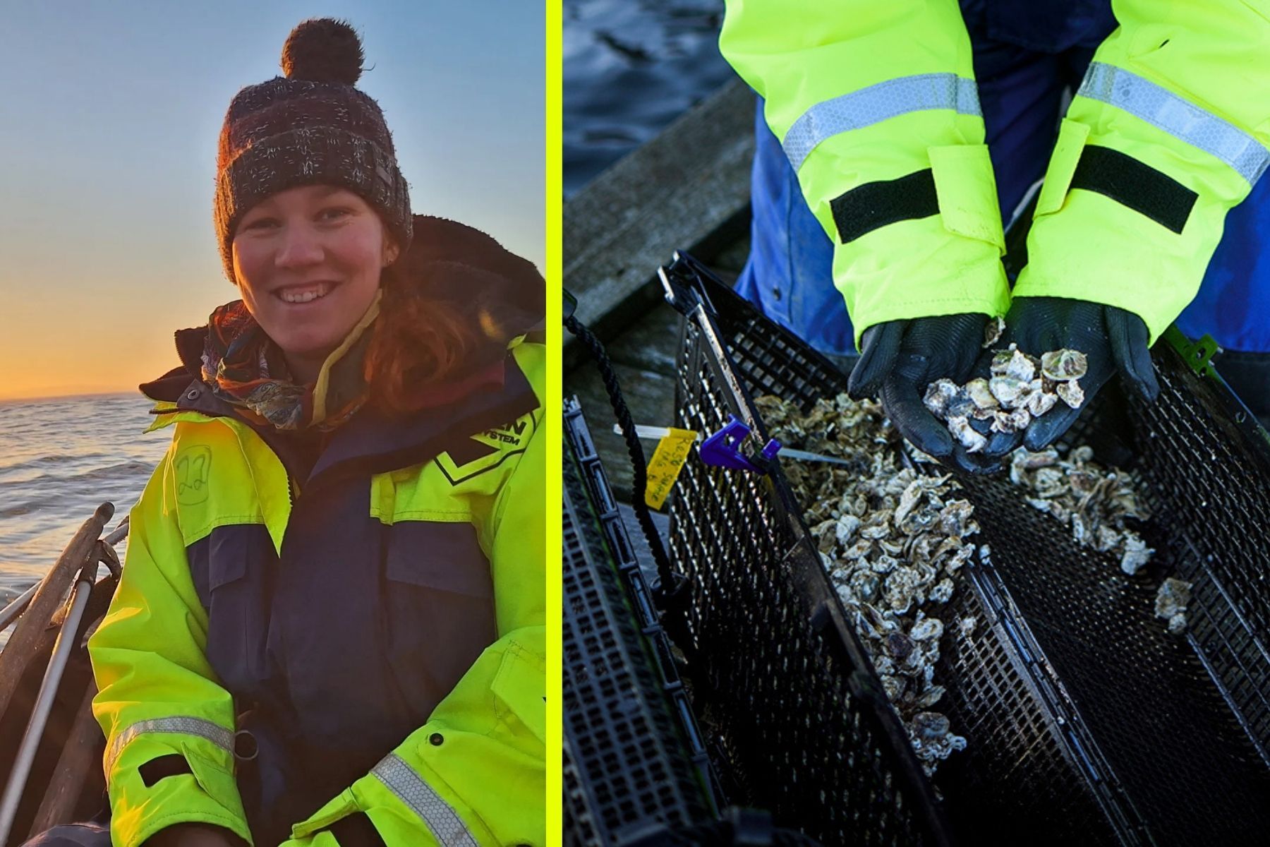 Svenja Hess, projektledare på IVL Svenska Miljöinstitutet. Foto: Privat/Pressbild.