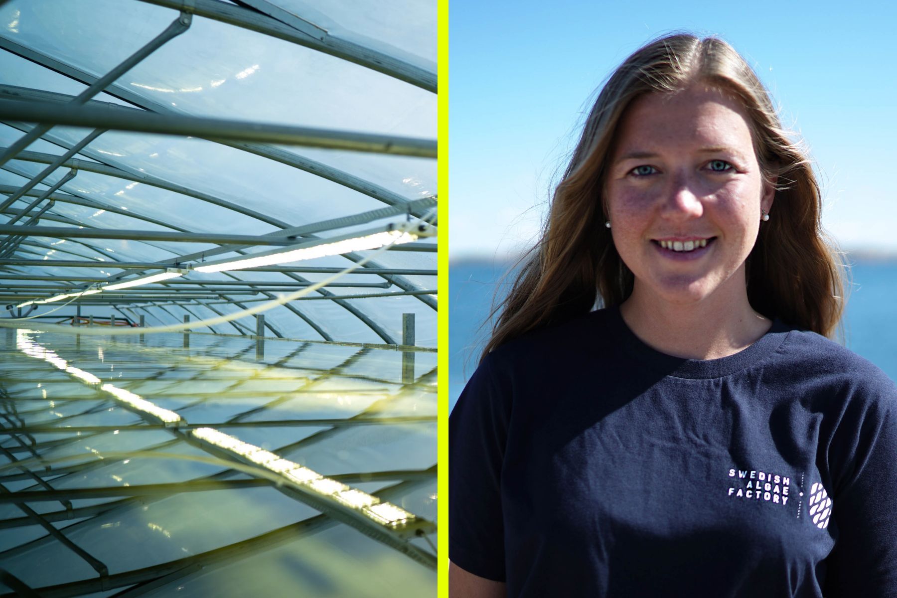 Sofie Allert, medgrundare och vd på Swedish algae factory. Foto: Pressbilder.