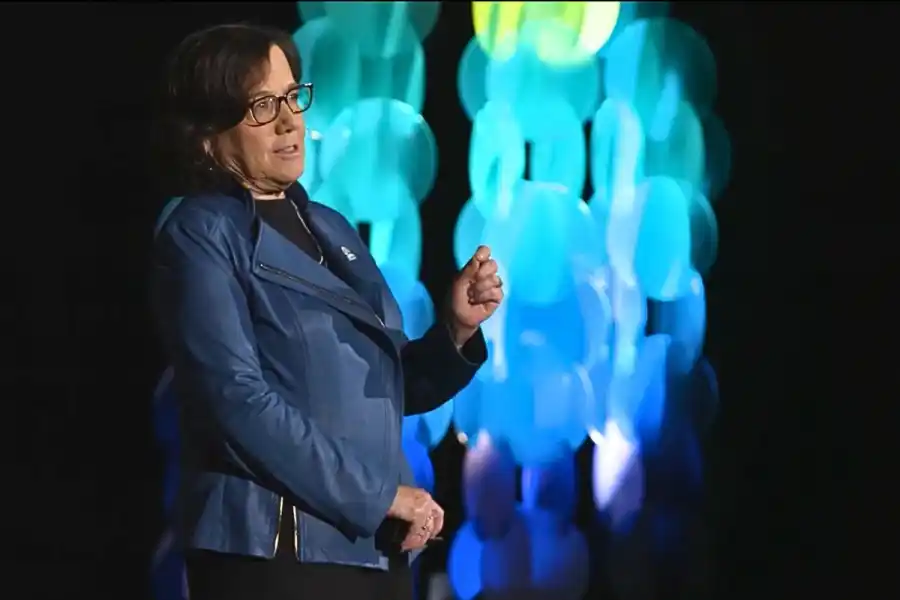 Mindy Lubber, CEO of Ceres, giving a TedX Talk in 2022. Credit: TedX Talks