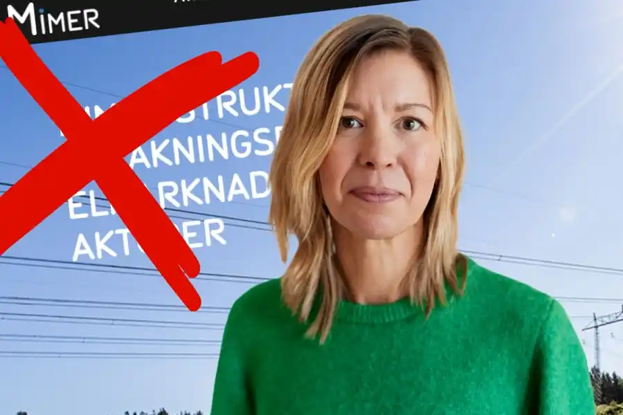 Anna Jäderström, sektionschef på Svenska kraftnät. Pressbild (montage).