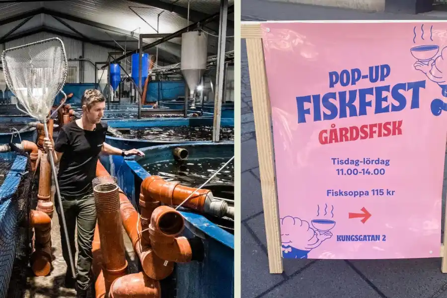 Gårdfisks grundare Johan Ljungqvist på en av bolagets odlingar. Foto: TT / pressbild.