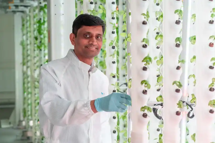 Sarosh Ramachandra, vd på Deliplant. Foto: Patrik Söderberg