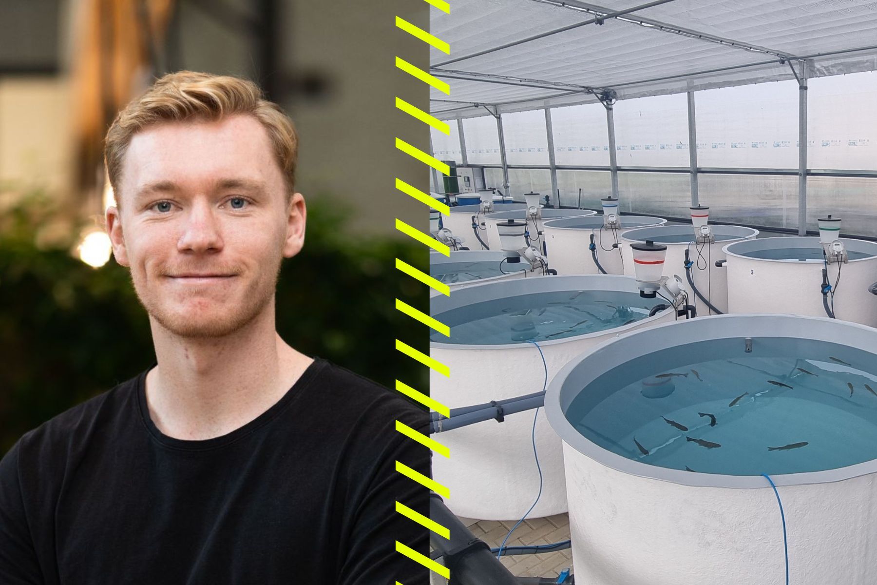 Johan Henriksson, vd och medgrundare Seaqure Labs, samt pilotstudie i Portugal. Pressbilder.