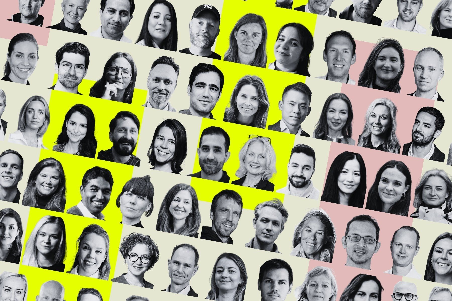 Some of the founders of the impact firms in our database. Graphics by Diana Demin, Impact Loop.