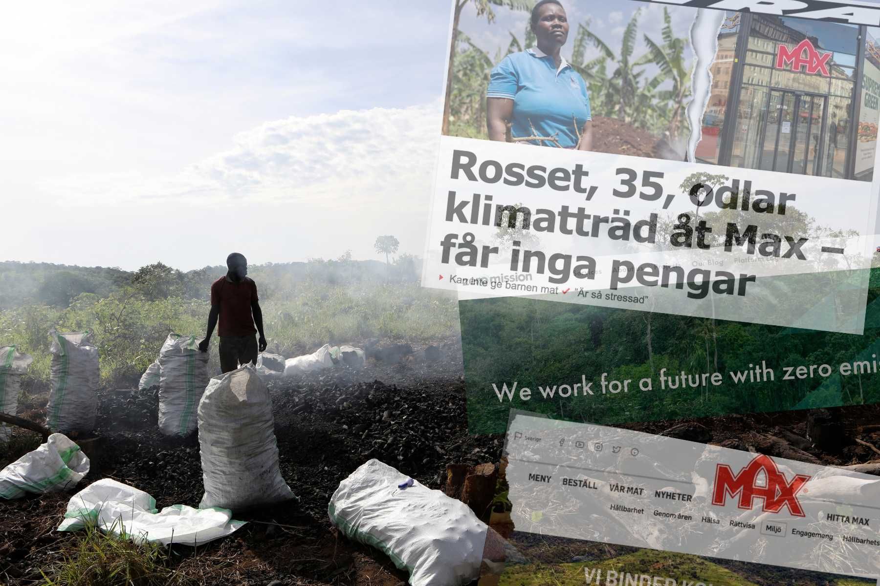 Collage bestående av bild på trädbränning i Uganda (obs! Ej från projektet i artikeln), och skärmdumpar på artiklarna i den granskning Aftonbladet gjort. Foto: AP Foto/Hajarah Nalwadda/TT.