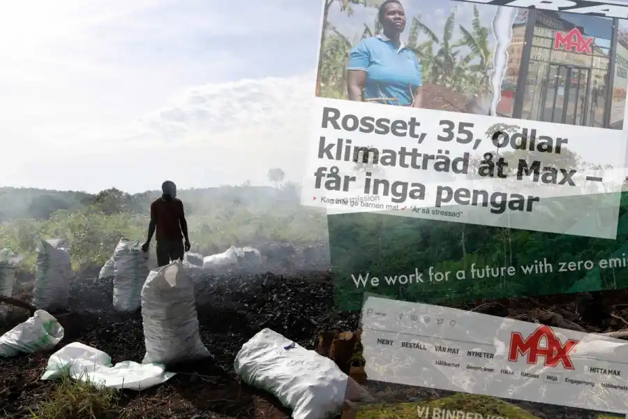 Collage bestående av bild på trädbränning i Uganda (obs! Ej från projektet i artikeln), och skärmdumpar på artiklarna i den granskning Aftonbladet gjort. Foto: AP Foto/Hajarah Nalwadda/TT.