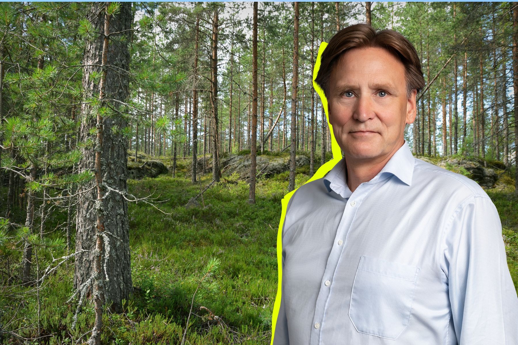 Erik Ottosson, vd på skogskreditbolaget Eken Financing. Foto: Pressbild.