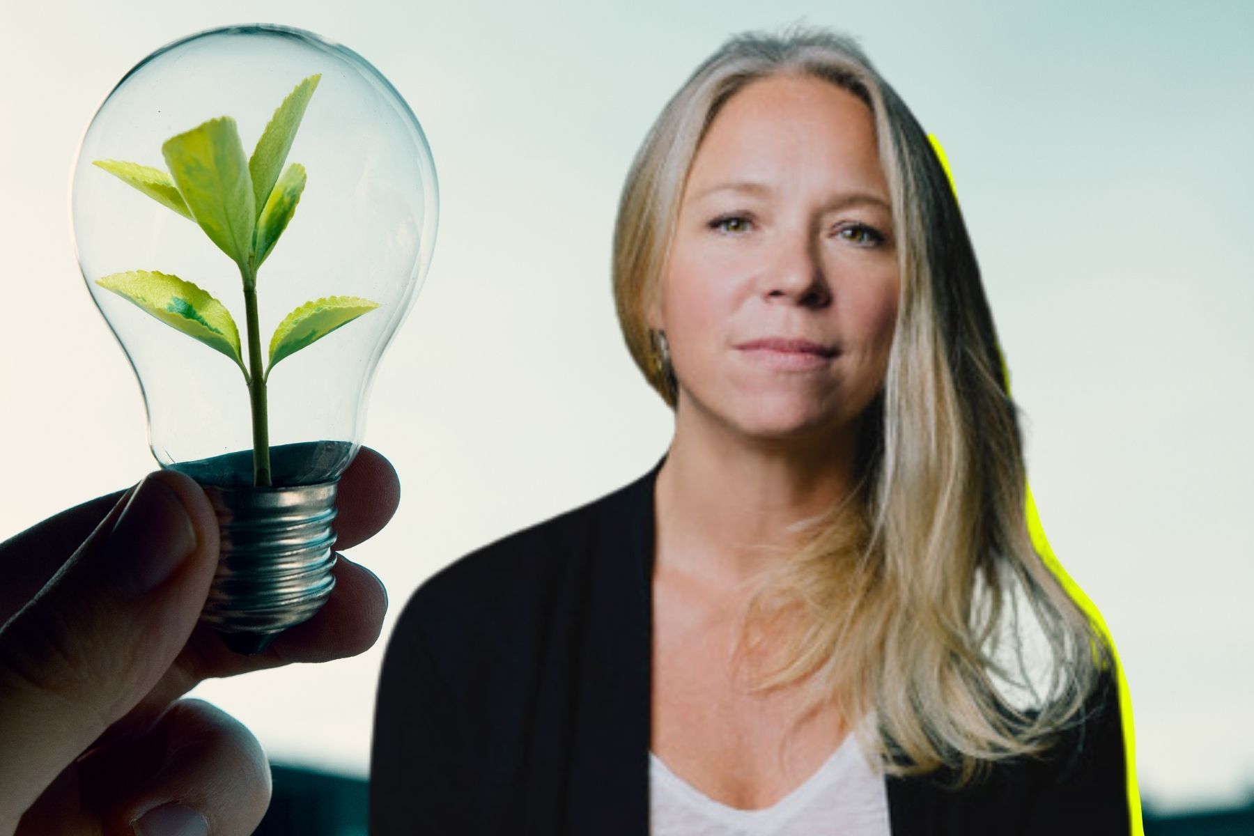 Åsa Plahn, varumärkesexpert. Foto: Pressbilder (montage).