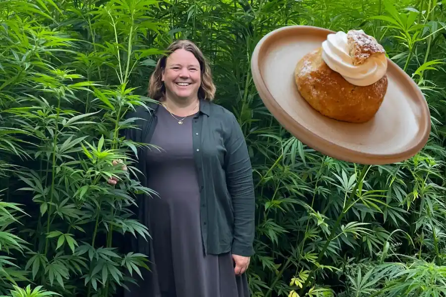 Maria Lundesjö på Axfoundation och hampasemlan. Foto: pressbilder.