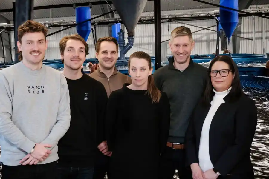 Georg Baunach, Hatch, Ava van Vliet, Hatch, Mikael Olenmark, Gårdsfisk, Åsa Linné, Gårdsfisk, Johan Ljungquist, Gårdsfisk och Karolina Bjurehed, Industrifonden. Foto: pressbild.