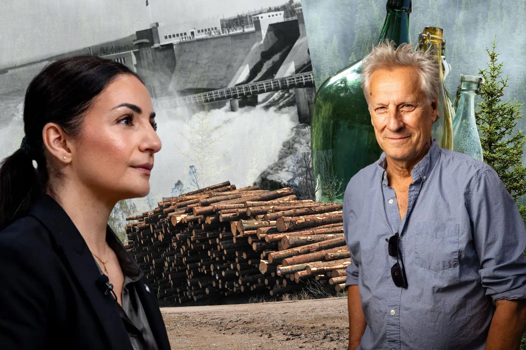 Kulturminister Parisa Liljestrand (M) och professor Lars Trägårdh. Foto: TT/Pressbilder. Montage: Impact Loop.