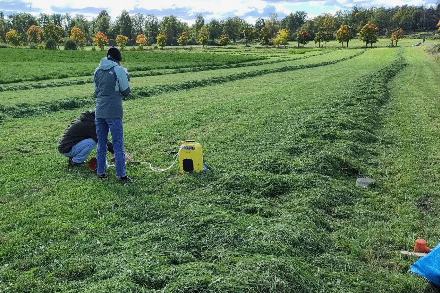 Fältförsök som mäter lustgas från jordbruksmark. Foto: Dominik Richter/Jordbruksverket