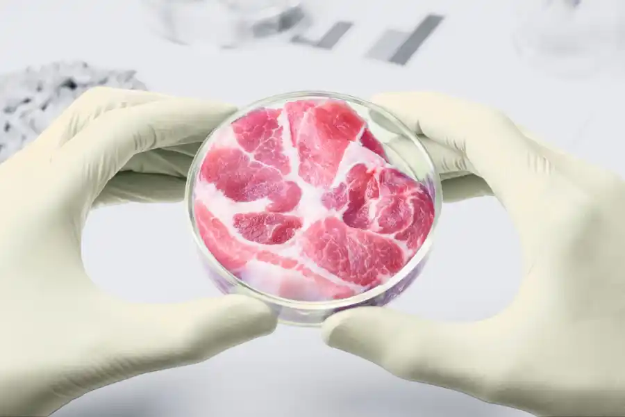 Lab meat. Photo: Canva.