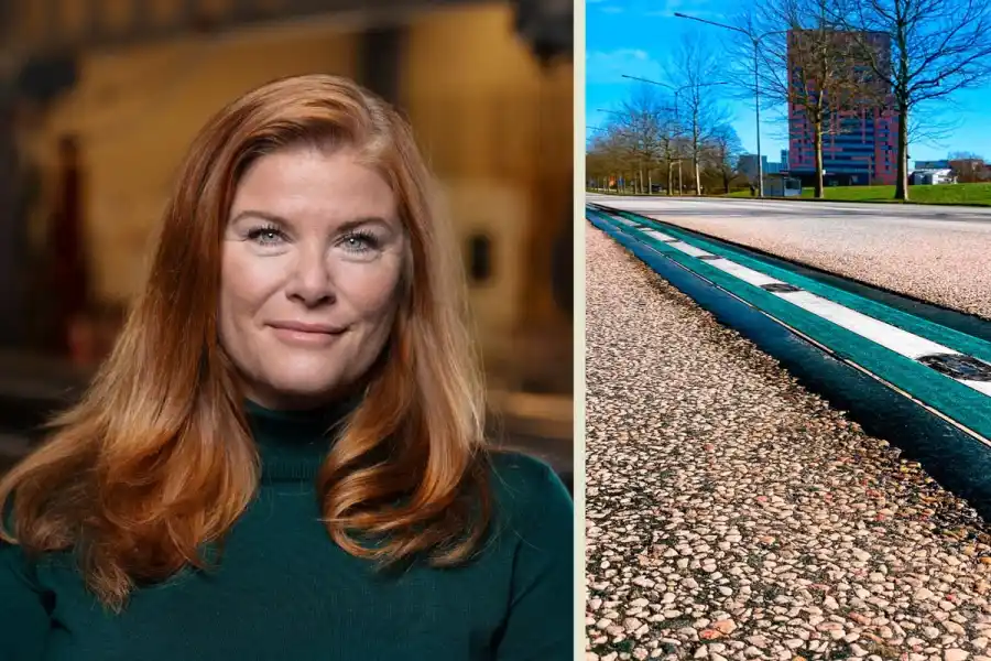 Karin Ebbinghaus, vd, Elonroad