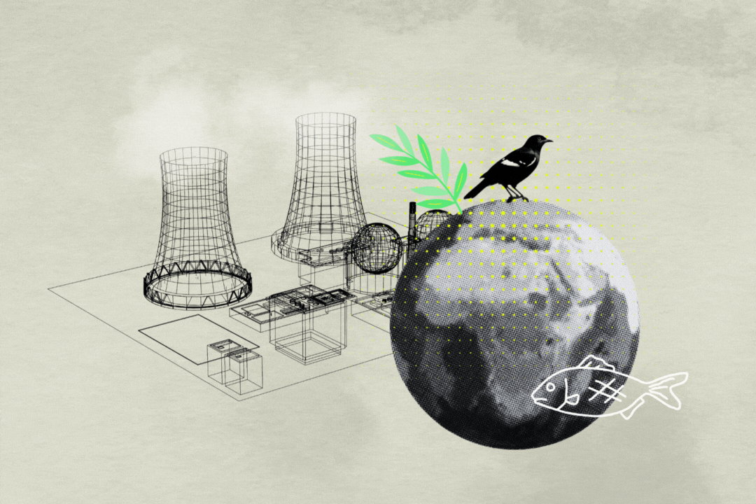 Grafik: Diana Demin.