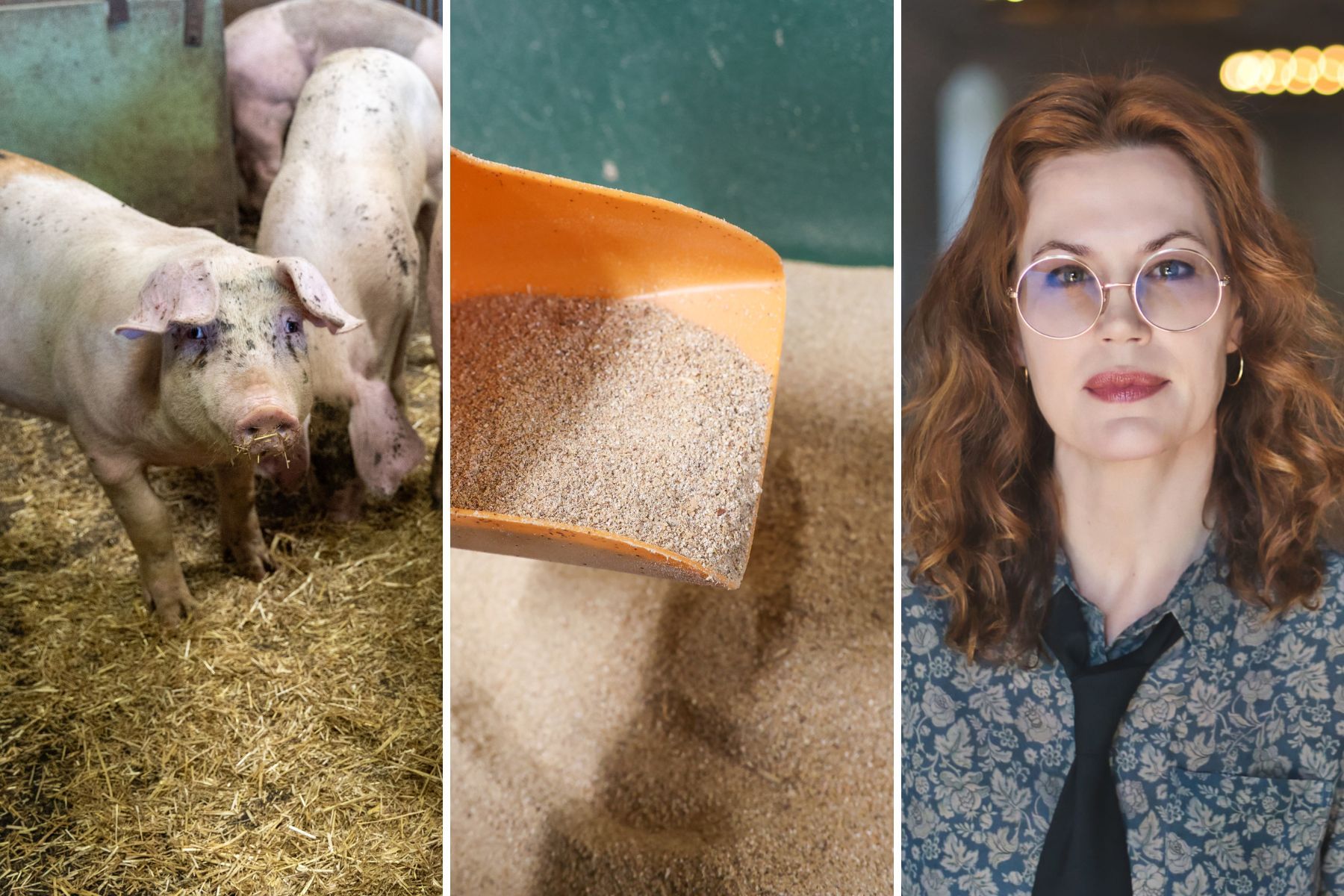 Madeleine Linins Mörner på Axfoundation har varit med och drivit projektet på Tö Gård. Pressbilder.