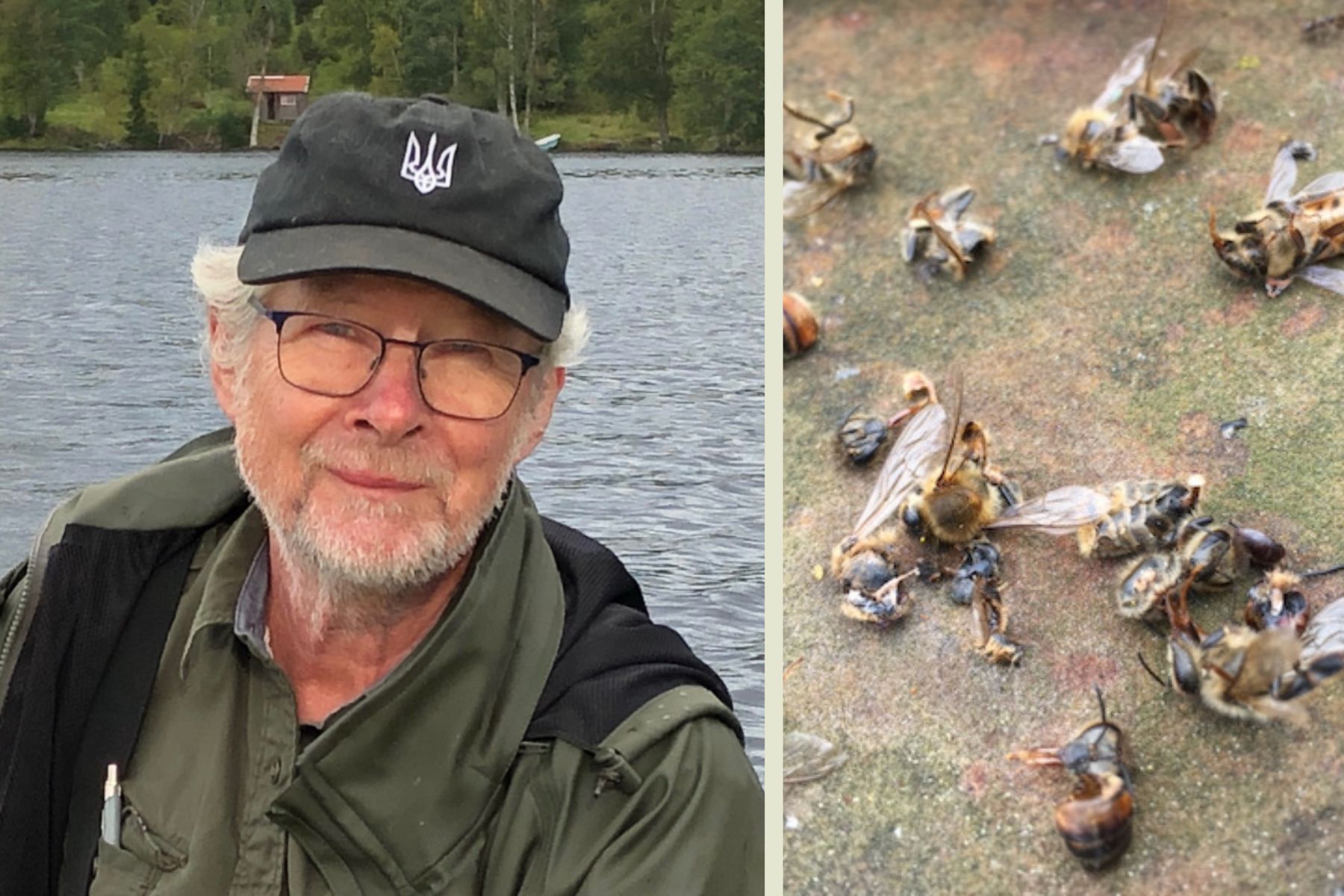 Björn Lagerman. Foto: pressbilder.
