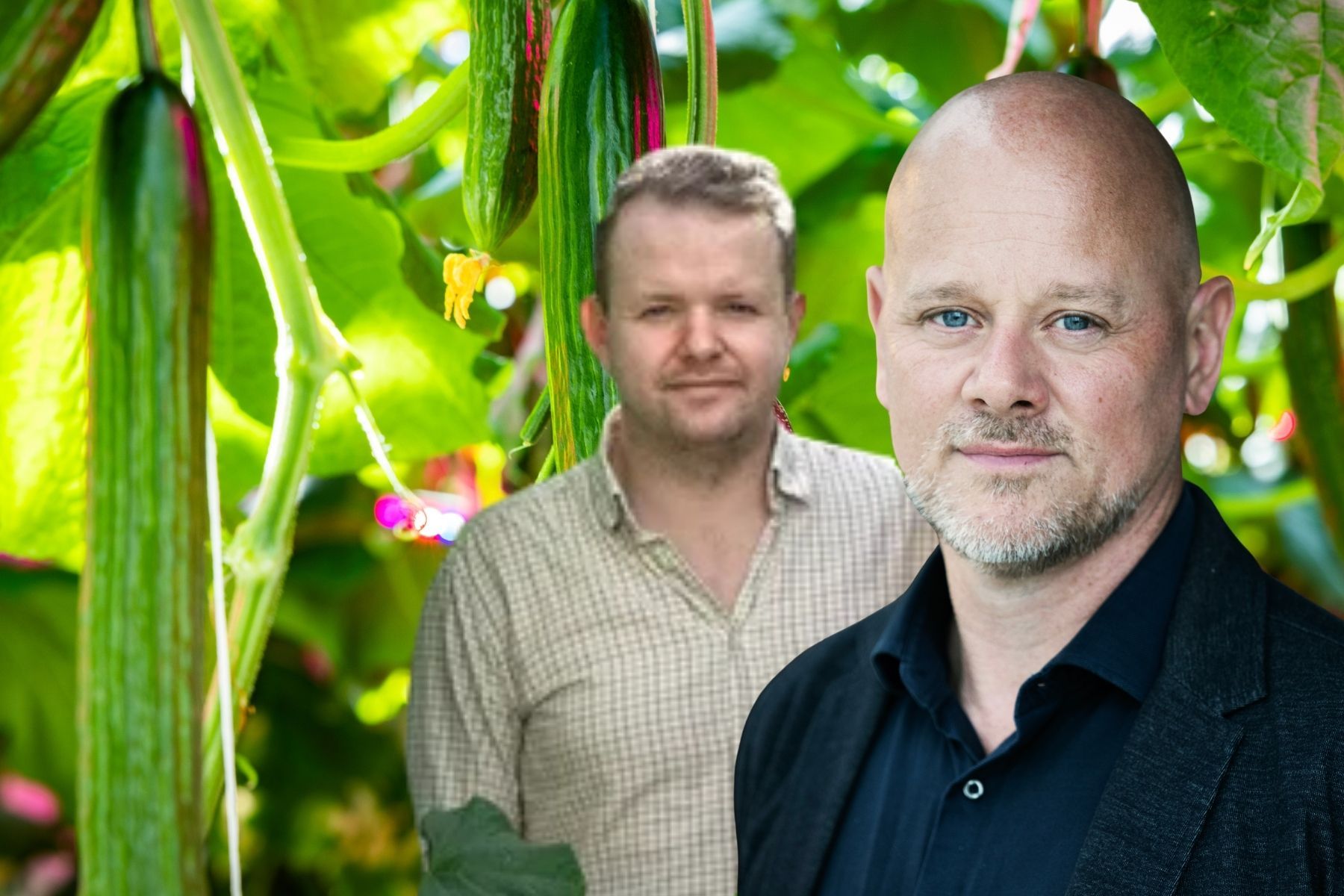 Joakim, vd på Pepino Växthus, och Erik Jonuks, vd på Agtira. Foto: Pressbilder. Montage: Impact Loop.