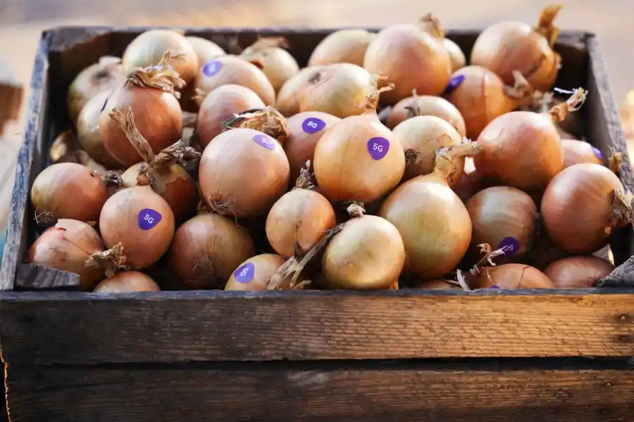 5G-löken. Foto: press.