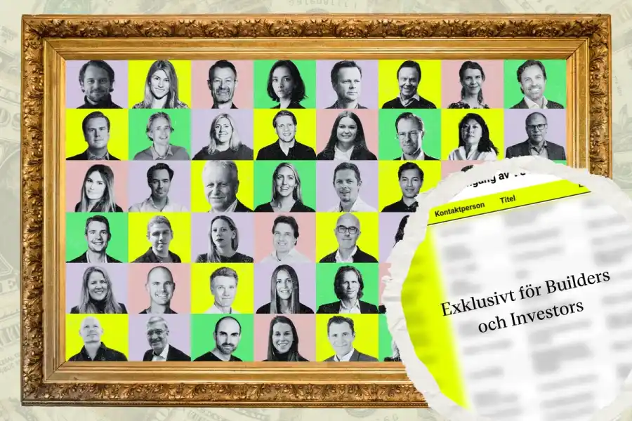 Investerarna i vår genomgång. Grafik: Diana Demin, Impact Loop.