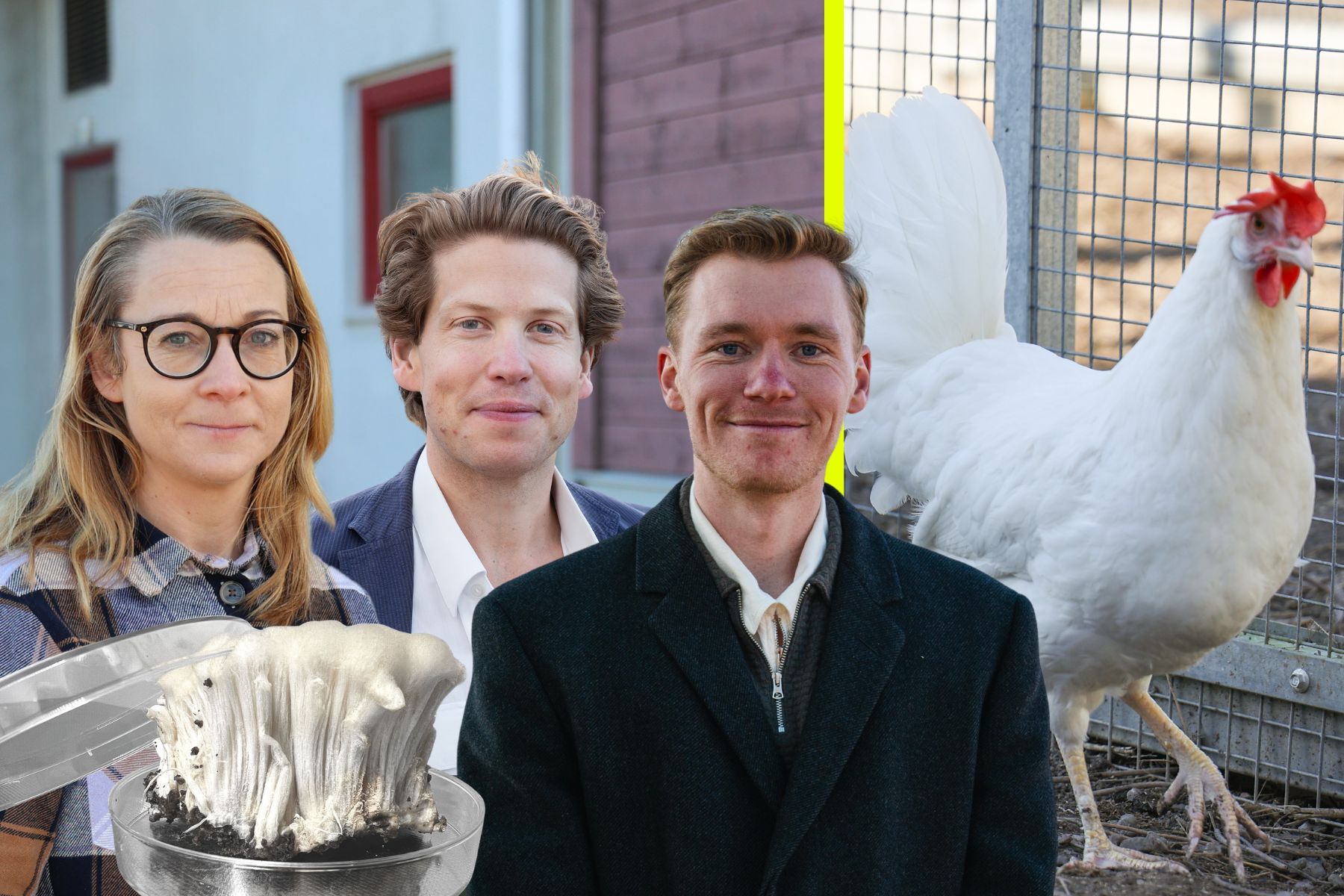 Emma Ivarsson, SLU, Christian Sjöland, Axfoundation och Johan Henriksson, VD Seaqure Labs. Foto: Maria Kronlöf, Axfoundation, Seaqure labs.