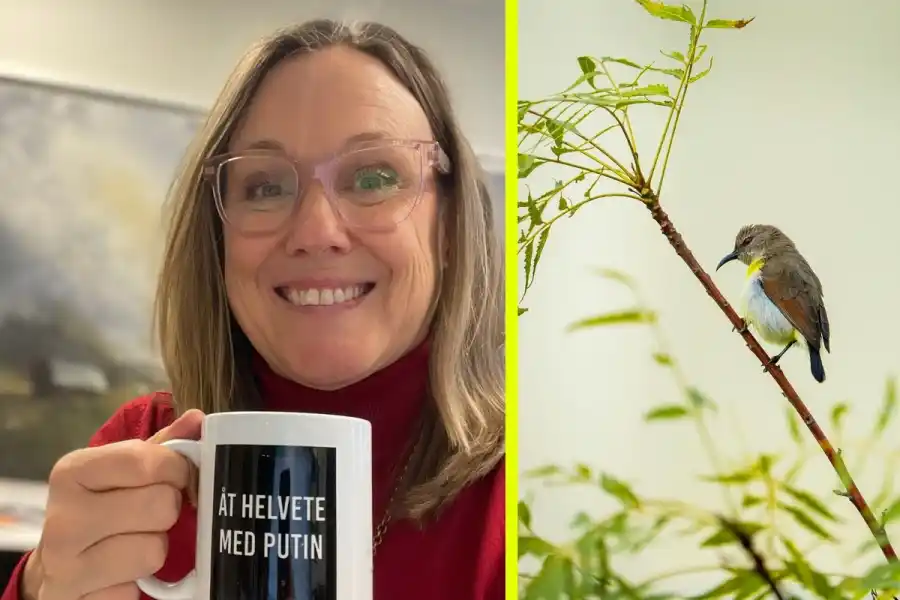 Vi tar en fika med Malin Thorsén. Foto: Privat/pressbild.