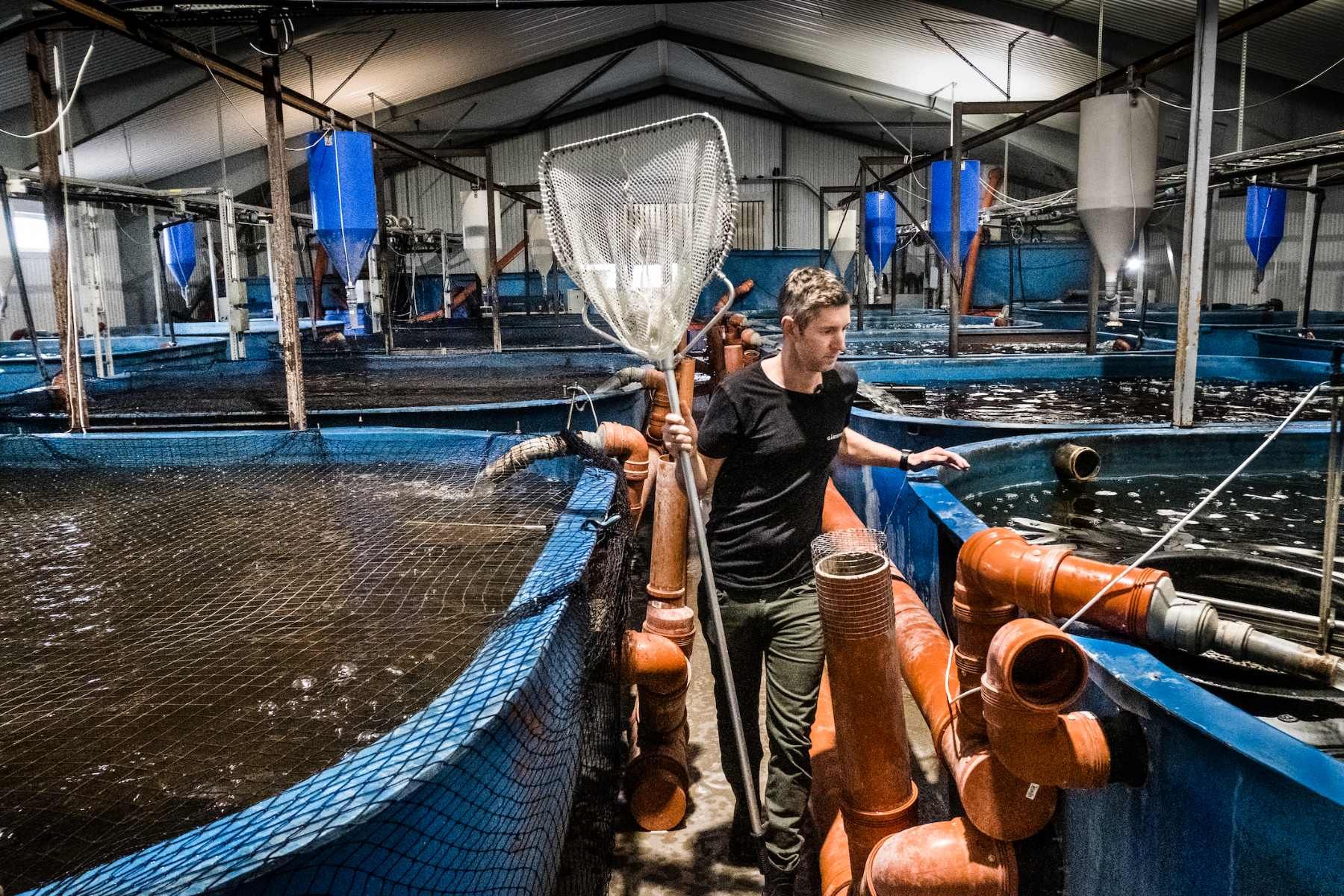 Johan Ljungquist ute på fiskeodlingen. Foto: TT.