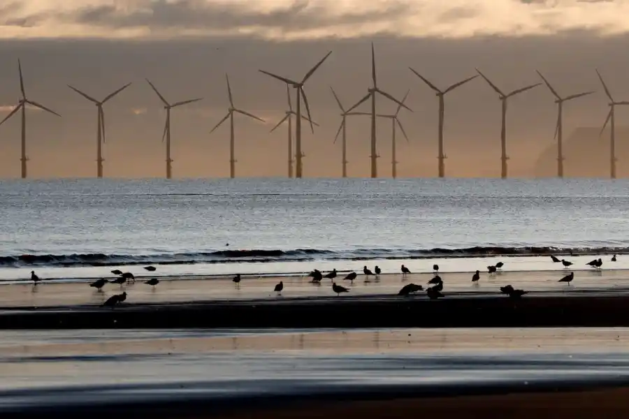An offshore wind farm in Hartlepool, England. Photo: AP.