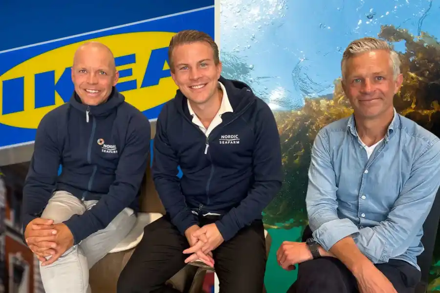 Niklas Carlson och Simon Hilmersson på Nordic Seafarm och Jonas Nordlund, investeringsansvarig på EIT Innoenergy. Foto: Christian von Essen, TT och Ingvar Eliasson.