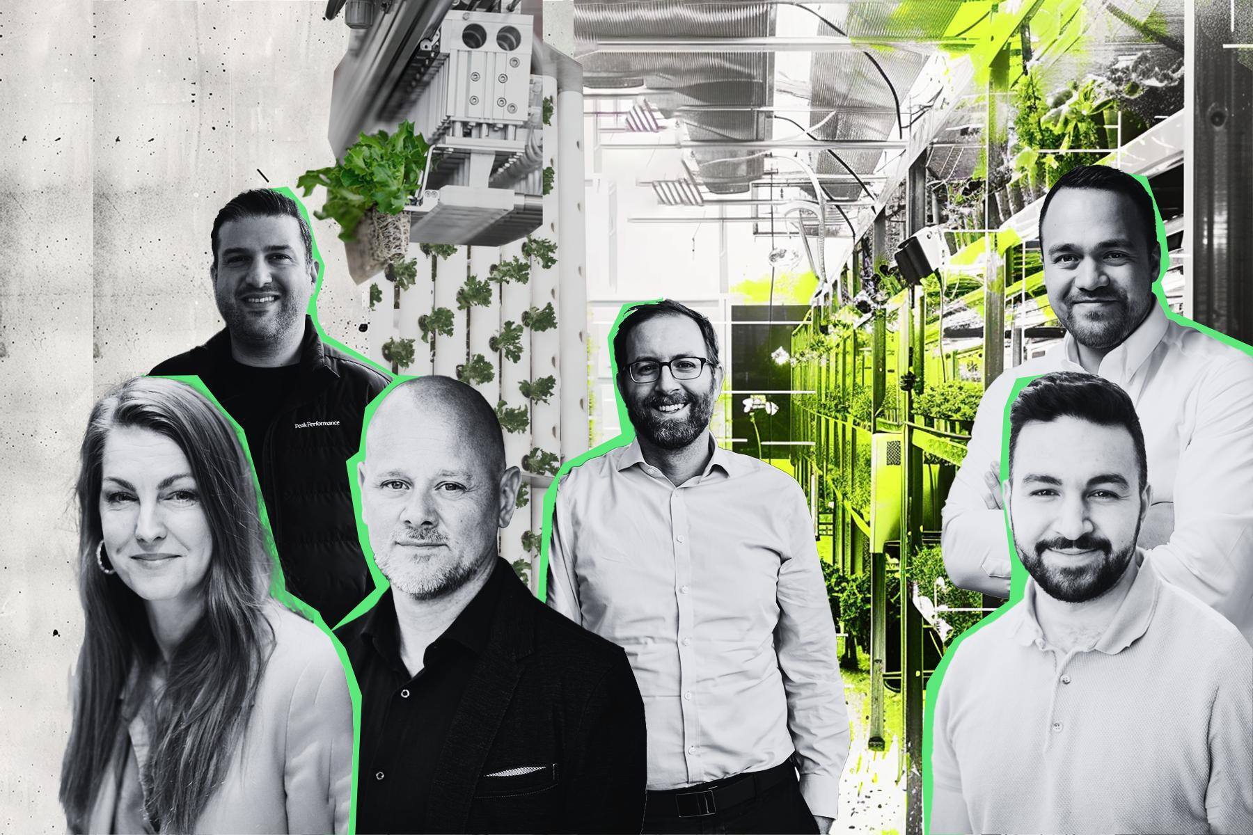 Entreprenörerna och investerarna bakom de nya vertikalodlarna. Grafik av Diana Demin, Impact Loop.