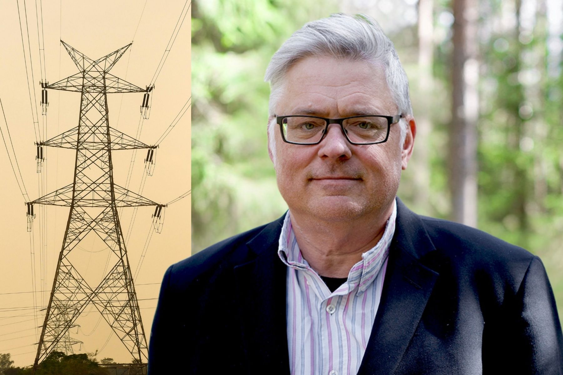 Bengt Kriström, professor i naturresursekonomi vid Sveriges lantbruksuniversitet. Foto: Pressbild / Canva (montage).