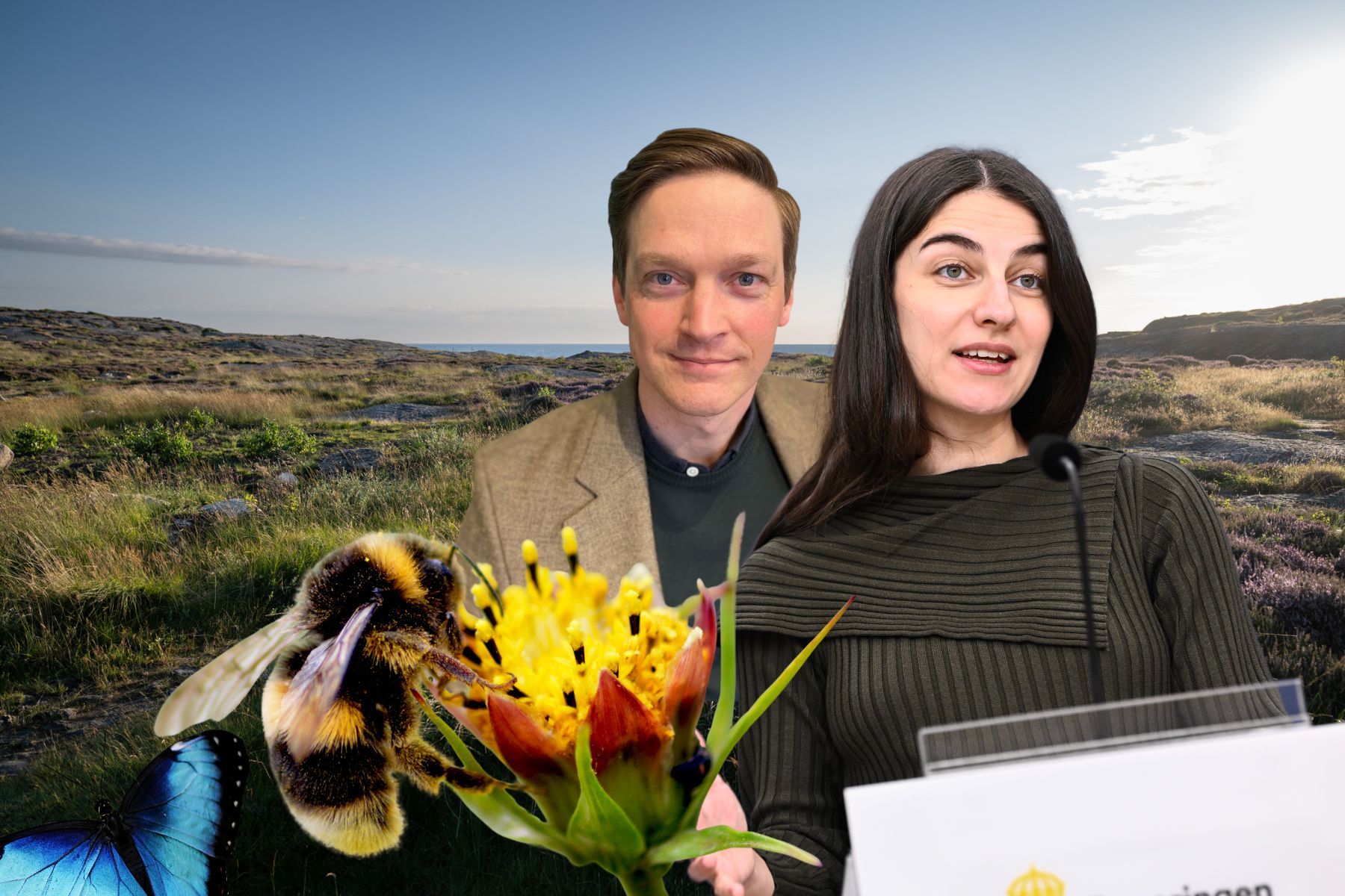 Jörgen Sundin, strateg på Naturskyddsföreningen och klimatminister Romina Pourmokhtari (L). Foto: Canva / pressbild.