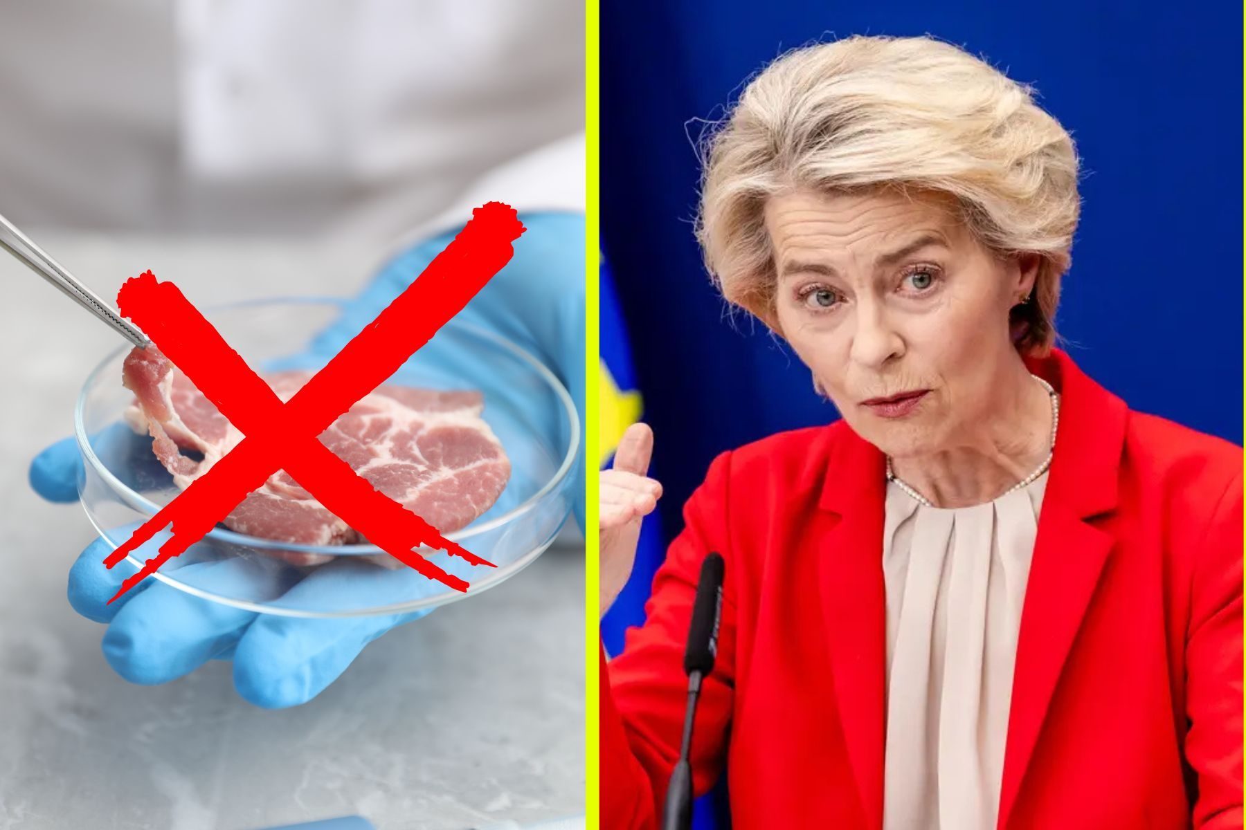 EU mulls banning lab-grown meat. Impact Loop collage
