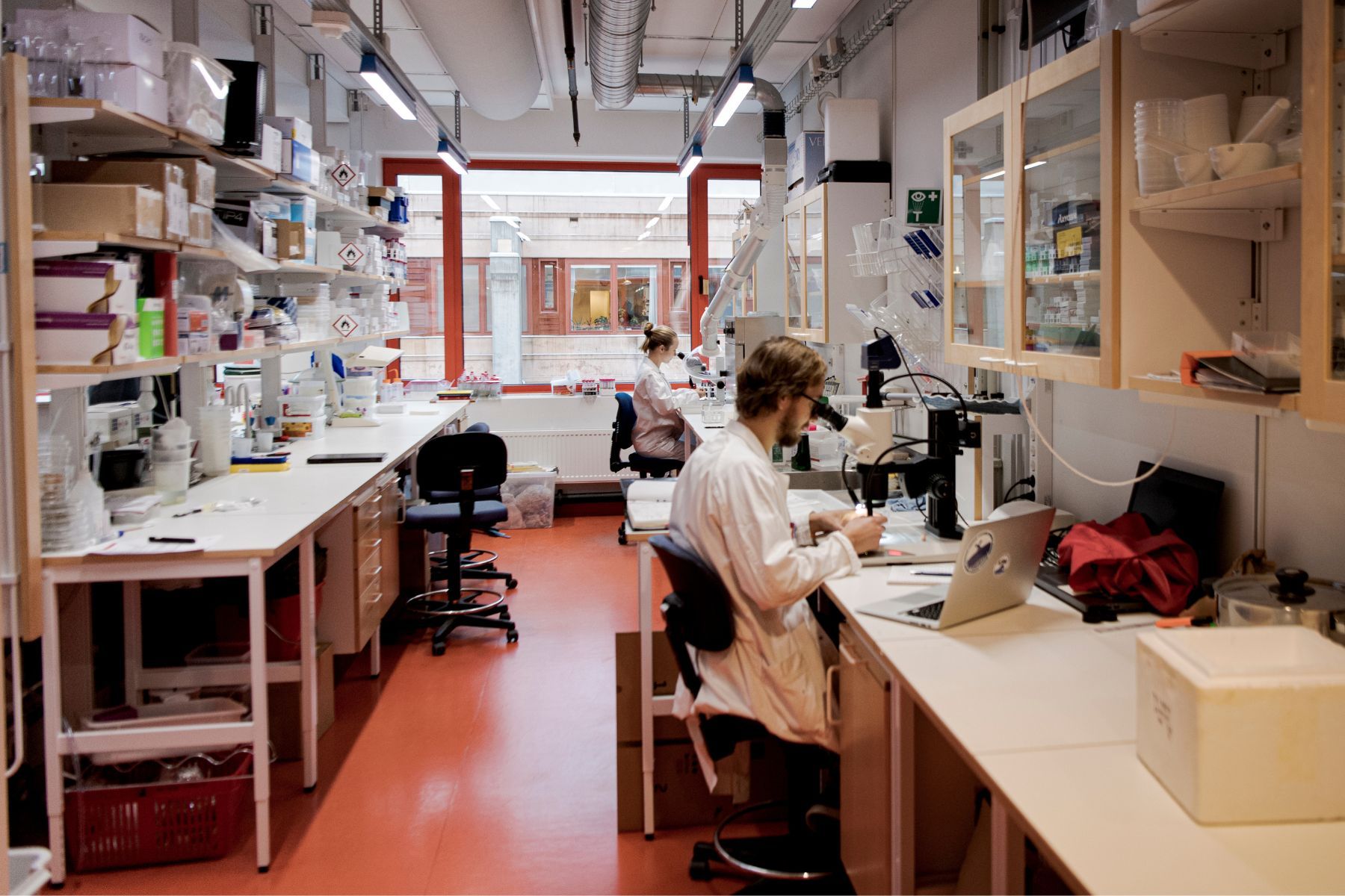 Laboratorium på Stockholms universitet. Foto: TT.