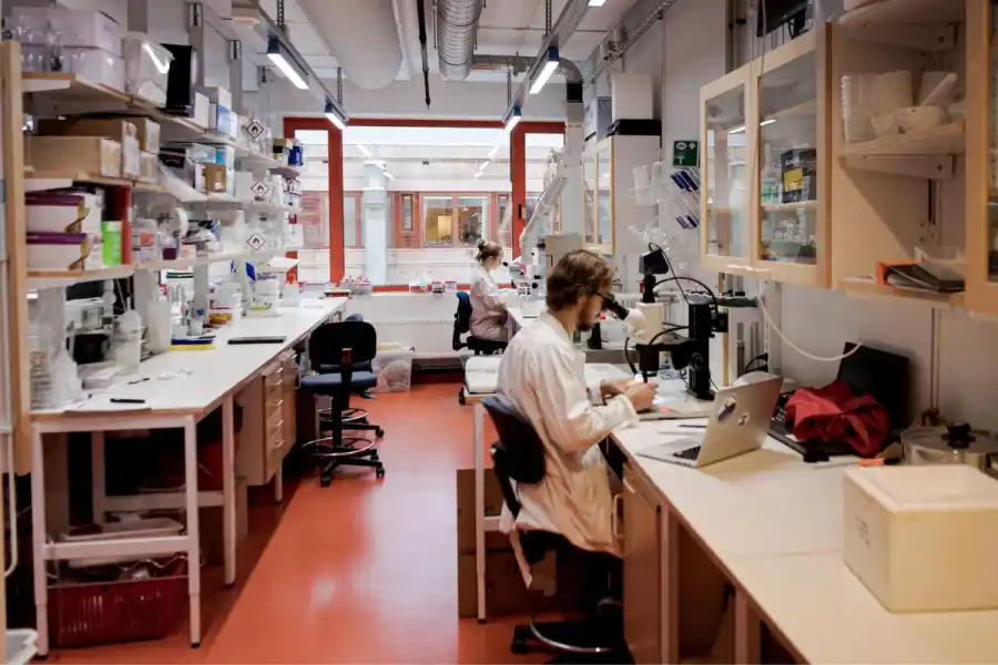 Laboratorium på Stockholms universitet. Foto: TT.