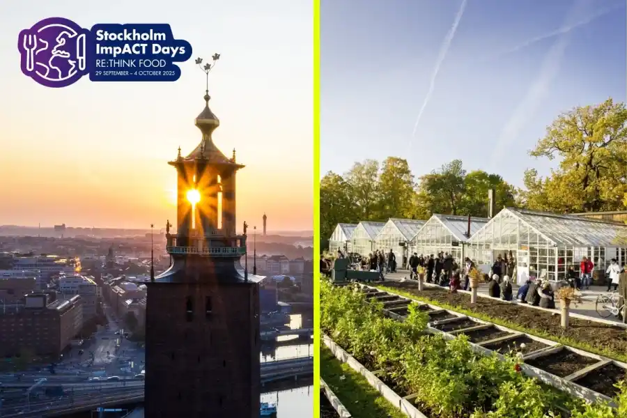 Stockholm ImpACT Days äger rum den 29 september till 4 oktober.