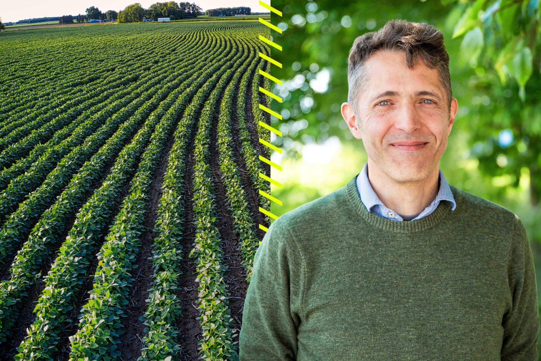 Gustaf Forsberg, vd och grundare av gödselbolaget Nitrocapt. Foto: Pressbild.