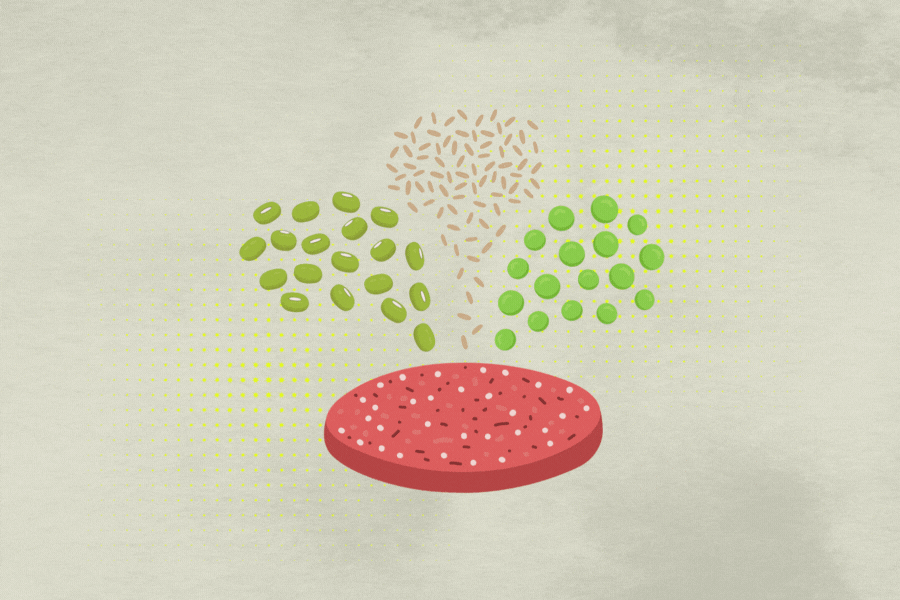 Grafik: Diana Demin.