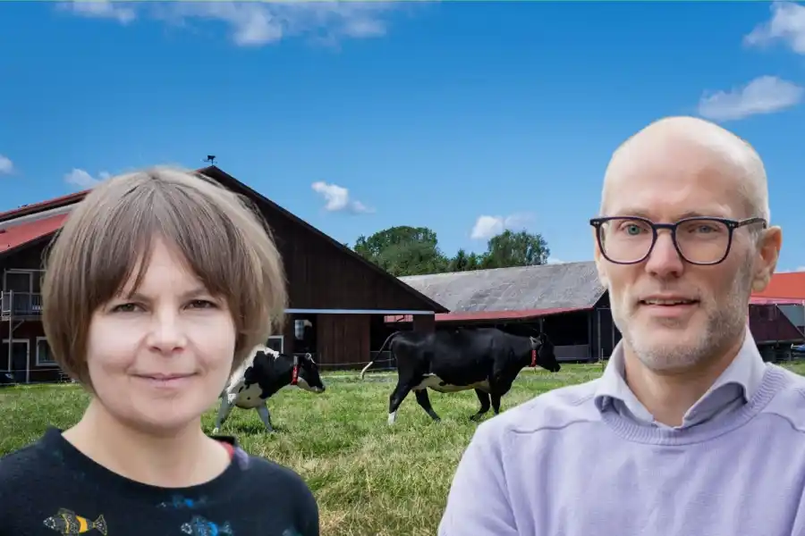 Elin Röös, forskningsledare på Plate, och Erik Pihlo, tf vd och koncernchef på LRF. Foto: TT/Pressbilder (montage).