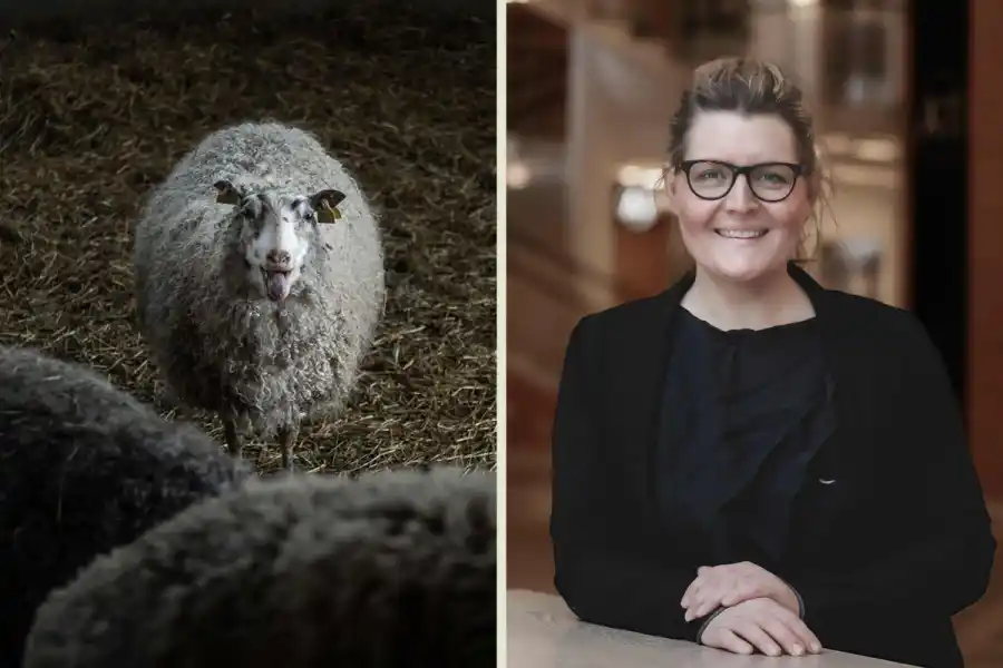 Lina Sofia Lundin, Dalarna Science Park. Foto: Henrik Hansson / Dalarna Science Park.