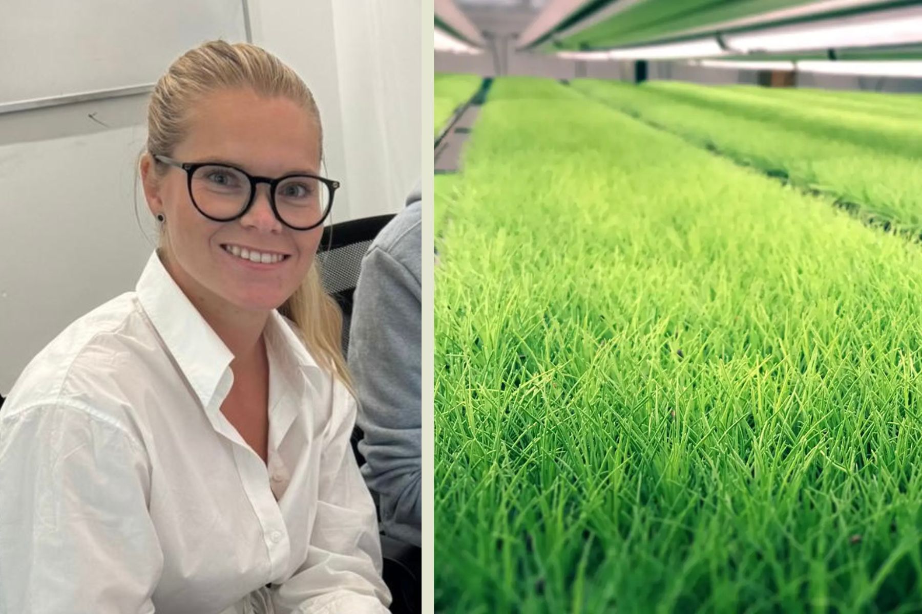 Johanns Westman. Foto: pressbilder.