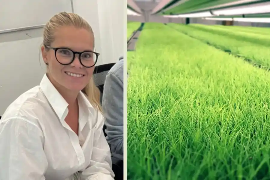 Johanns Westman. Foto: pressbilder.