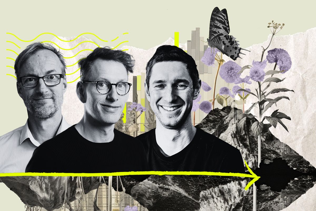 Krister Tham (Katam), Hampus Jakobsson (Pale blue dot) och Johan Ljungquist (Gårdsfisk). Collage: Diana Demin