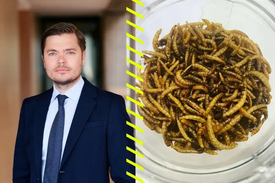 Johan Högberg, partner på advokatbyrån Schjødt, pressbild. Mjölmaskar från Tebrito, foto Christian von Essen